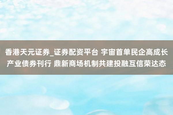 香港天元证券_证券配资平台 宇宙首单民企高成长产业债券刊行 鼎新商场机制共建投融互信荣达态
